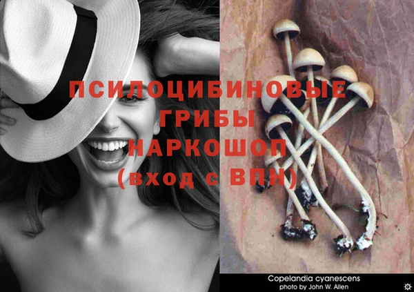 кокаин премиум Зерноград